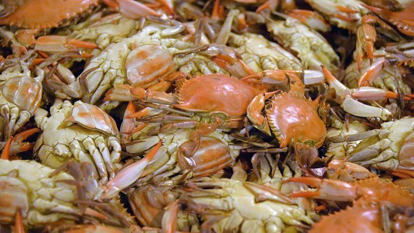 Jumbo Lump Crab Cake - Flavors Magazine: Atlanta's Dining Scene