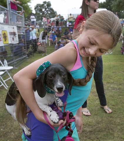 Buda Wiener Dog Race, 4.26.15