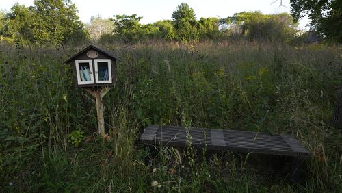 A free library and bench sit in a meadow in Callahan Park in Detroit, Tuesday, Sept. 10, 2024. (AP Photo/Paul Sancya)