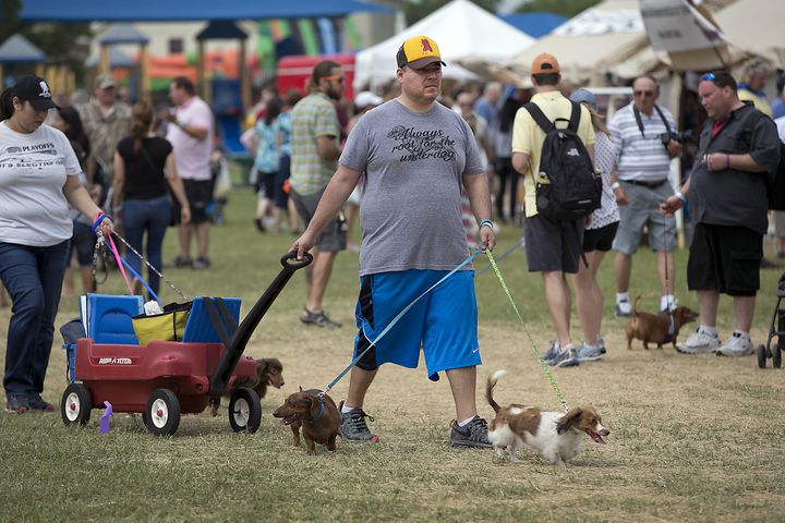 Buda Wiener Dog Race, 4.26.15