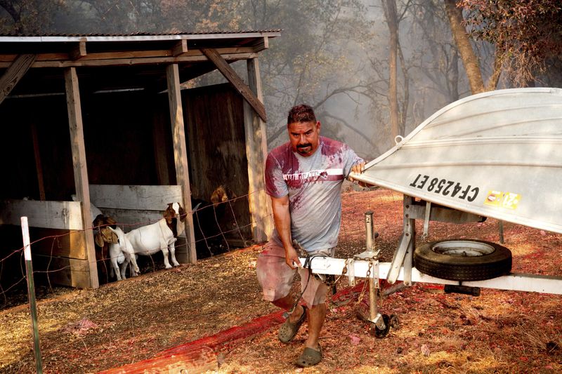 A resident covered in fire retardant moves a boat as the Grubbs Fire burns in the Palermo community of Butte County, Calif., on Wednesday, July 3, 2024. (AP Photo/Noah Berger)