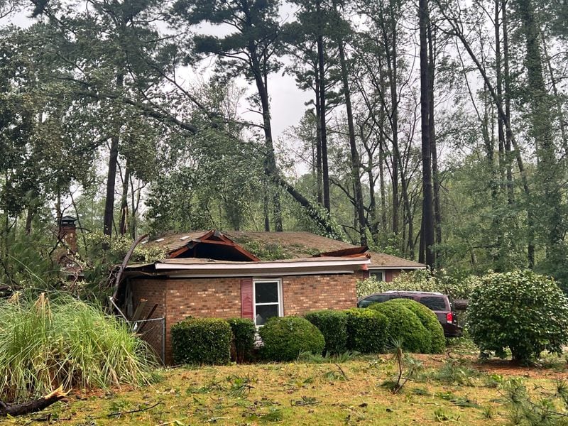 Downed trees in Augusta, GA following Hurricane Helene on September 27, 2024. (Photo Courtesy of Charmain Brackett)