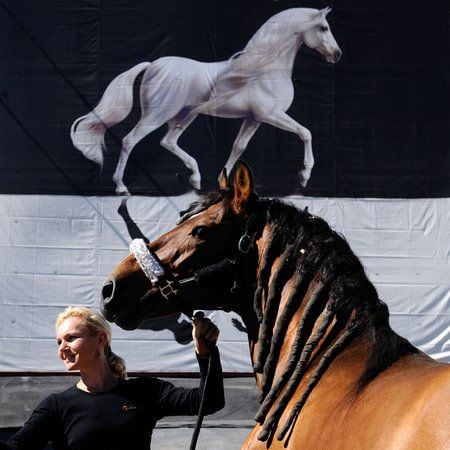 Cavalia' horses arrive in Atlanta