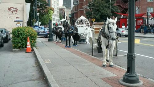 Local animal rights group that would like to see horse drawn carriages in Atlanta banned