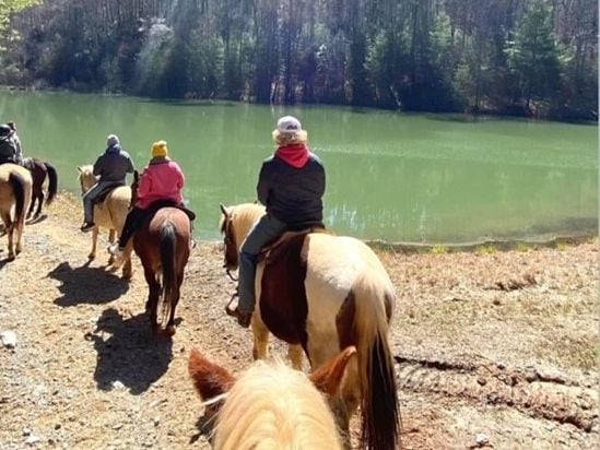 Appalachian Trail Rides is an outdoor getaway that’s not horsing around