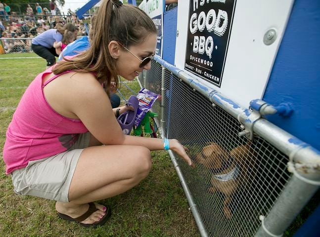 Buda Wiener Dog Race, 4.26.15