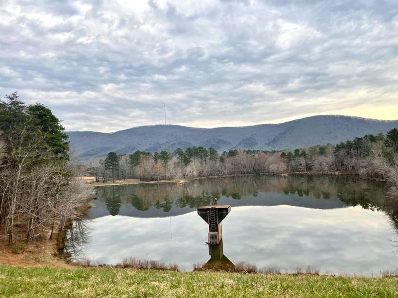 This lake is in the Pine Log Wildlife Management Area, part of 19,000 acres  that a family is selling. They are negotiating to sell much of that land to the state.