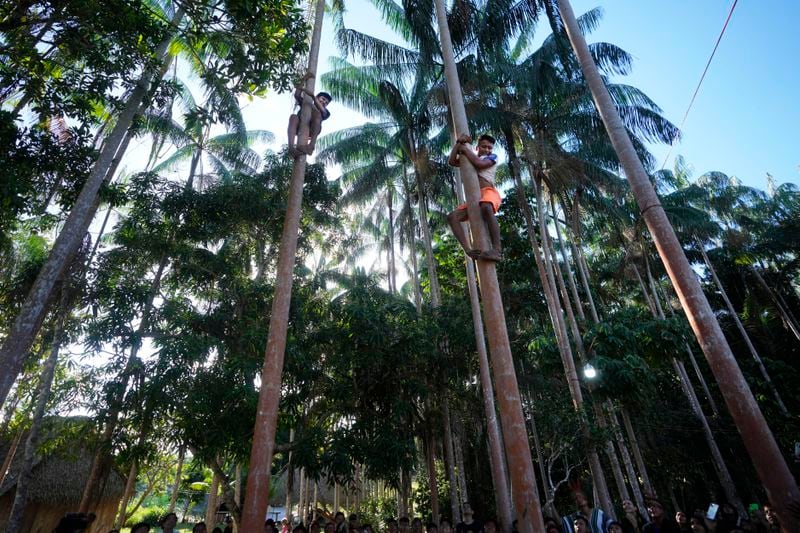 Ashaninka Indigenous youths from Brazil and Peru compete by racing up the trunk of an acai tree during the annual celebration recognizing the Ashaninka territory in the Apiwtxa village, Acre state, Brazil, Sunday, June 23, 2024. (AP Photo/Jorge Saenz)