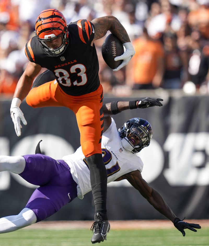 Cincinnati Bengals tight end Erick All Jr. (83) hurdles over Baltimore Ravens cornerback Brandon Stephens (21) during the second half of an NFL football game, Sunday, Oct. 6, 2024, in Cincinnati. (AP Photo/Carolyn Kaster)