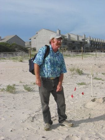 Rare daytime egg-laying sea turtle draws crowds in Florida