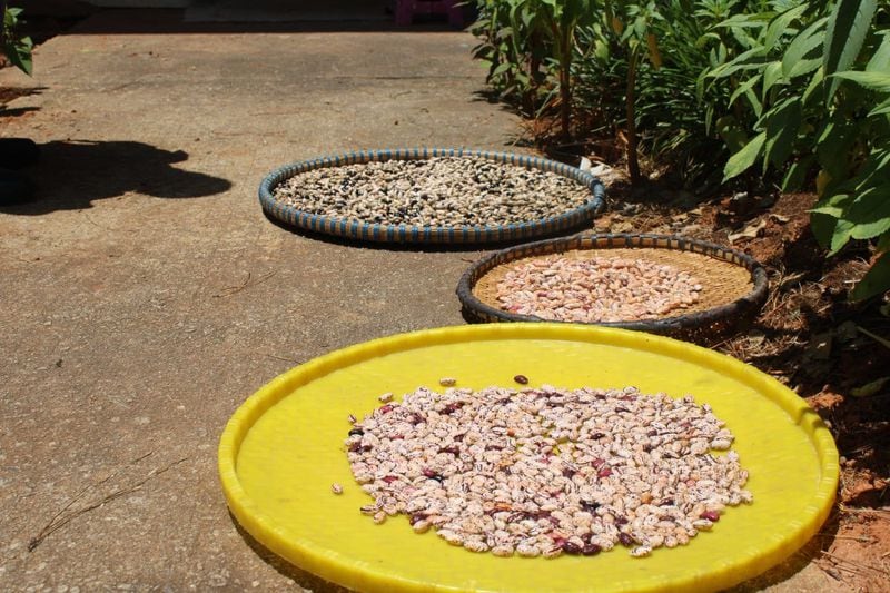 Dried beans sit outside the family’s apartment in Clarkston, Georgia. (Photo Courtesy of Sophia Qureshi)