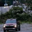 Vehicles move slowly around trees that have fallen after Hurricane Helene, Friday, Sept. 27, 2024, in Valdosta, Ga. (AP Photo/Mike Stewart)