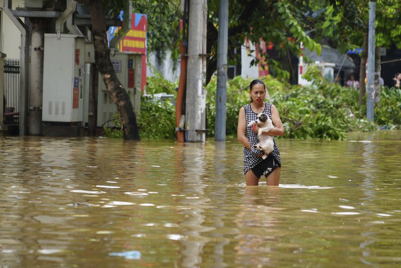 A woman carrying her dog wades in a flooded street in the aftermath of Typhoon Yagi, in Hanoi, Vietnam on Thursday, Sept. 12, 2024. (AP Photo/Hau Dinh)