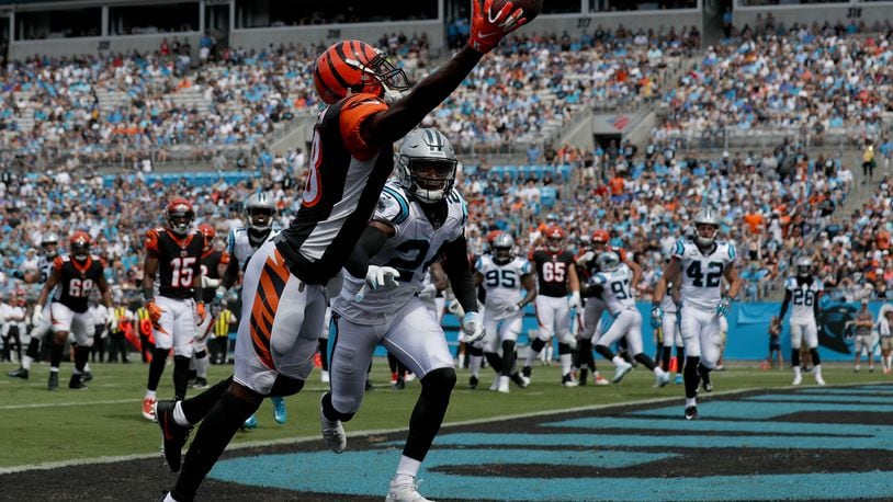 First look: Bengals vs. Panthers