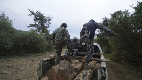 FILE - Communal police forest officers walk on seized pine logs they found hidden in the brush along the road while on patrol, on the outskirts of the Indigenous township of Cheran, Michoacan state, Mexico, Jan. 20, 2022. (AP Photo/Fernando Llano, File)