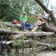 Andy Brown takes a break on top of what remains of a tree that destroyed his SUV when it fell during Hurricane Helene on in Augusta, Ga., Tuesday, Oct. 1, 2024. (AP Photo/Jeffrey Collins)