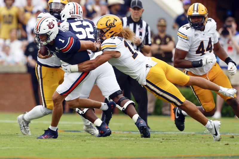 Auburn quarterback Payton Thorne (1) is tackled by California linebacker Teddye Buchanan, front right, as he carries the ball during the second half of an NCAA college football game, Saturday, Sept. 7, 2024, in Auburn, Ala. (AP Photo/Butch Dill)