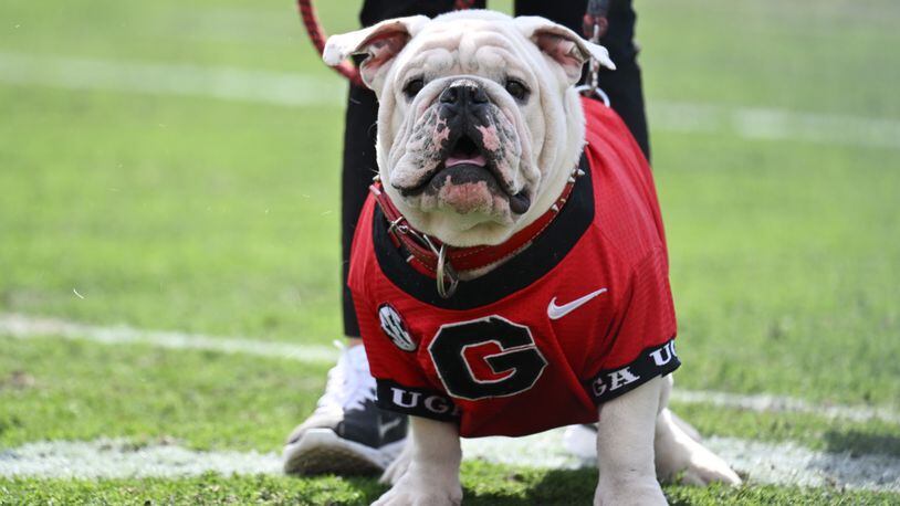 Official Georgia Bulldogs and atlanta braves Georgia year of the