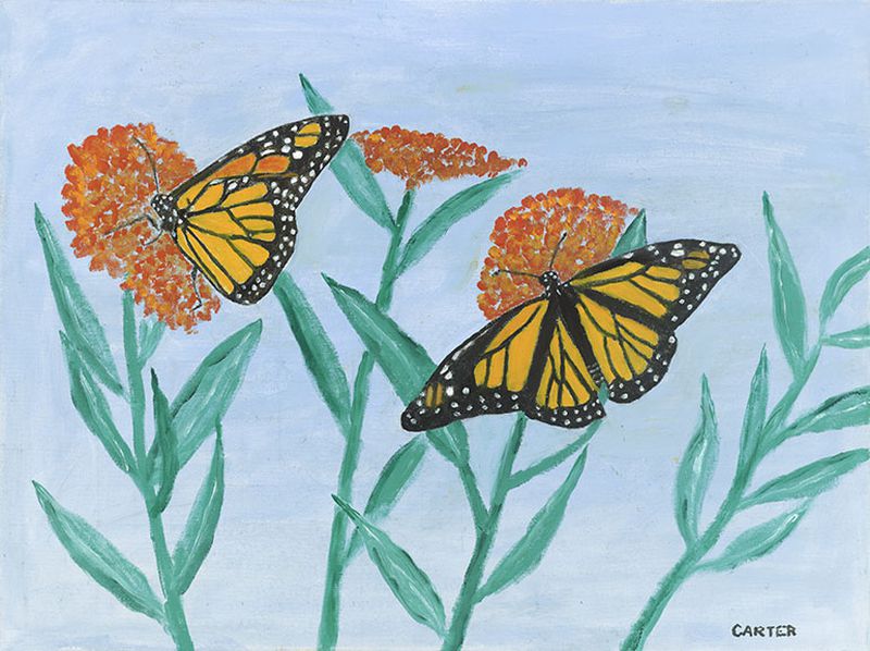 This oil painting of monarch butterflies and milkweed by former President Jimmy Carter sold at auction for $525,000 in 2017.