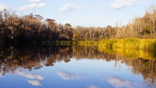 Nature lovers can find a plethora of opportunities inside the state with expansive hiking and biking trails through mountain ranges, beautiful beaches, marshlands and swamps, such as the Okefenokee Swamp (above), which provides unique habitats for a variety of plant and animal species. File.