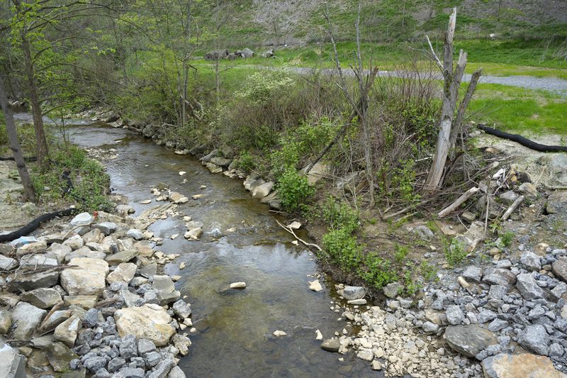 This is the area along Little Bull Creek in Natrona Heights, Pa., on Tuesday, April 30, 2024, where Billy Merriwether's bullet-riddled body was found in February 1981. The man serving life for the killing, Steve Szarewicz, insists he was wrongly convicted based on testimony by four jailhouse informants. (AP Photo/Gene J. Puskar)