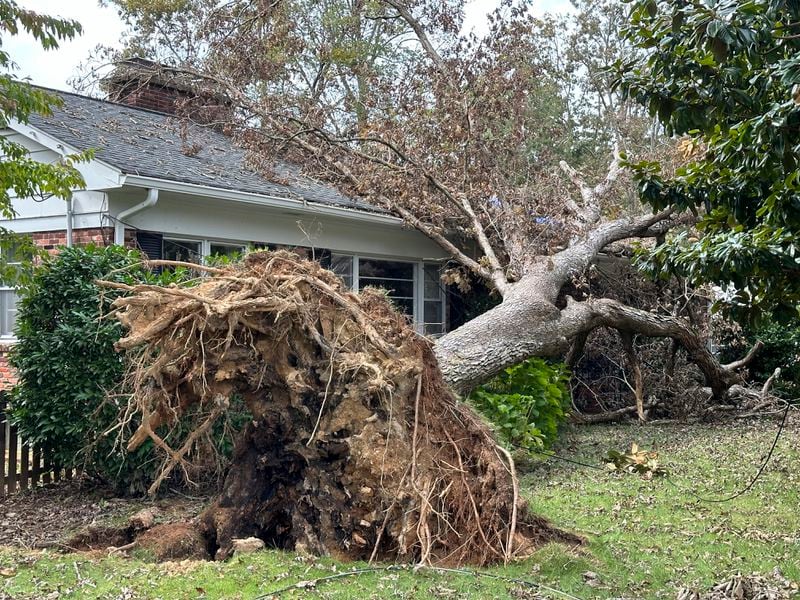 A tree rests on a house, Friday, Oct. 4, 2024, in the Oak Forest neighborhood of Asheville, N.C., after a falling during the remnants of Hurricane Helene, (AP Photo/Jeff Amy)