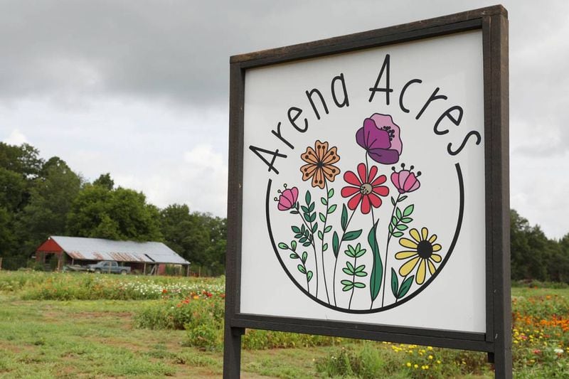 A sign for Arena Acres sits outside of the Arena Acres flower farm on Thursday, July 25, 2024, in Perry, Georgia. Arena Acres is a local flower farm that allows visitors to pick their own flowers, while also offering flower delivery and produce sales. (Photo Courtesy of Katie Tucker/The Telegraph)