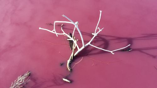 This picture of pink lake water is similar what's happening at a salt lake in Westgate Park, Australia, where algae in the salt crust, high temperatures, sunlight and no rainfall turn the lake an incredible color of pink. Finn Propper/Flickr/(CC BY-NC-ND 2.0)