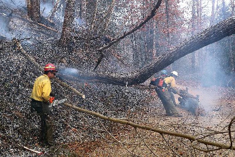Clayton: Firefighters from Billings, Montana, work to clear weakened trees and debris in the Rock Mountain Fire along the Old Coleman River Road to keep the road open and prevent the fire from jumping the road on Tuesday, Nov. 15, 2016, near Clayton. Curtis Compton/ccompton@ajc.com