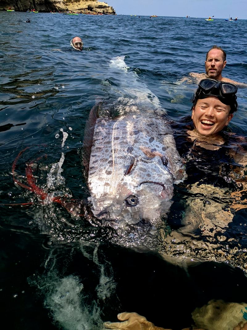 This image provided by The Scripps Institution of Oceanography shows a team of researchers and science-minded snorkelers working together to recover a dead oarfish from La Jolla Cove, Calif., Saturday, Aug. 10, 2024. (Michael Wang/The Scripps Institution of Oceanography via AP)