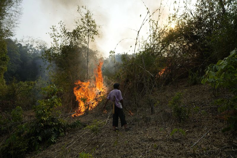 A member of the Pakanyo tribe set a fire in protected forest land at Chiang Mai province, Thailand, Monday, April 22, 2024. The Pakanyo, who have carried out the practice of controlled burns as long as they have lived in these hills near Chiang Mai, a top tourist destination, say they get blamed by city dwellers for fouling the air and damaging forest land. (AP Photo/Sakchai Lalit)