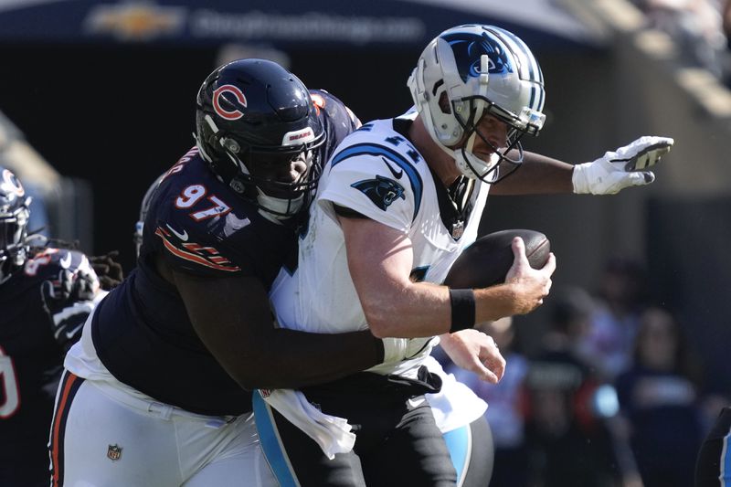 Chicago Bears defensive tackle Andrew Billings (97) sacks Carolina Panthers quarterback Andy Dalton (14) during the second half of an NFL football game Sunday, Oct. 6, 2024, in Chicago. (AP Photo/Nam Y. Huh)