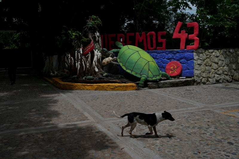 The entrance of the Raúl Isidro Burgos Rural Normal School features a turtle and the words "We want the 43," referring to the number of students who went missing 10 years ago, in Ayotzinapa, Guerrero state, Mexico, Monday, Aug. 19, 2024. Ayotzinapa means "The place of the turtles" in the Nahuatl Indigenous language. (AP Photo/Marco Ugarte)