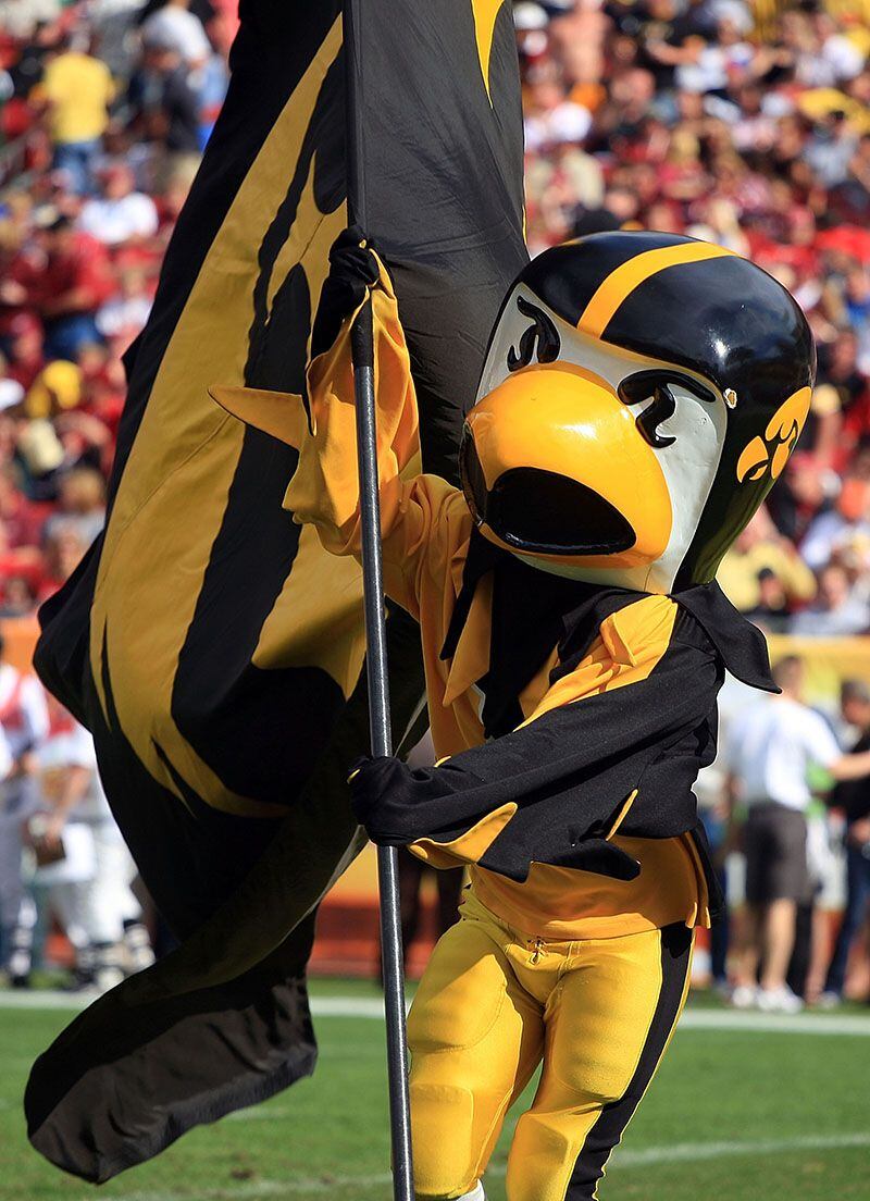 College football mascots: The birds