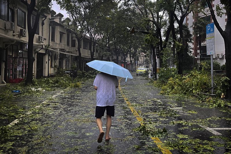 A man carrying an umbrella walks by fallen tree branches along a street in the aftermath of Typhoon Bebinca in Shanghai, China, Monday, Sept. 16, 2024. (Chinatopix Via AP)