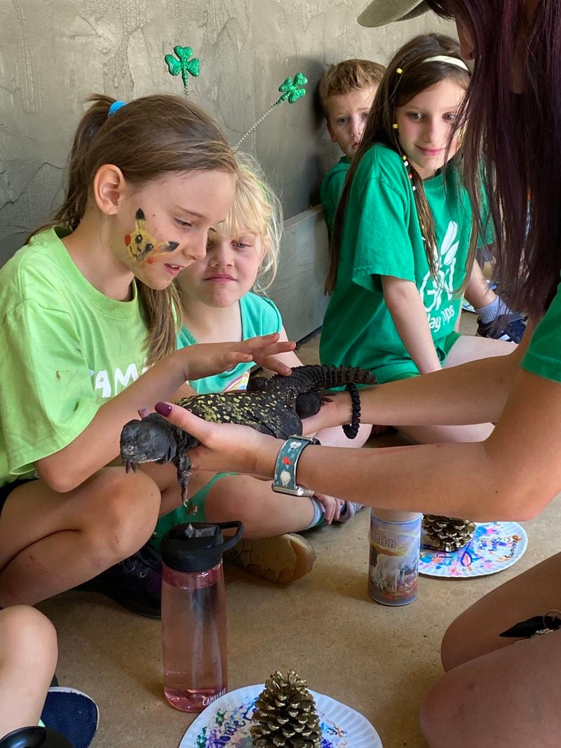 It’s hands-on learning at the Elachee Nature Science Center. 
Photo courtesy of the Elachee Nature Science Center.