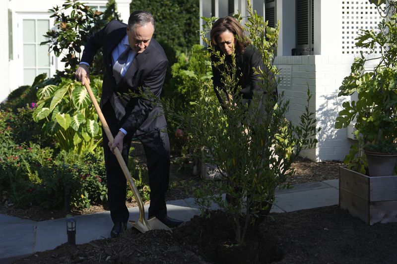 Democratic presidential nominee Vice President Kamala Harris, right, and second gentleman Doug Emhoff plant a memorial tree on the grounds of the Vice President's residence in Washington on Monday, Oct. 7, 2024, to honor the victims and mark one year since the Oct. 7, 2023, Hamas attack on Israel. (AP Photo/Ben Curtis)