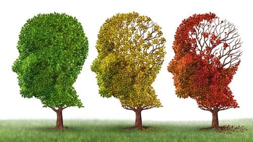 According to a 2020 study, two-thirds of Americans experience some level of cognitive decline by age 70.  (Dreamstime/TNS)