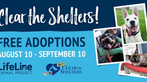 LifeLine Animal Project is offering free pet adoptions at its Fulton and DeKalb shelters through Sept. 10.