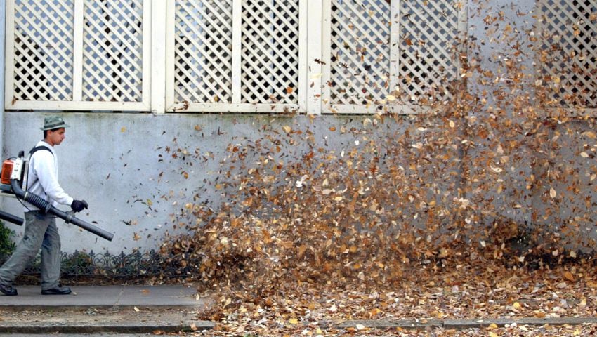 Get a leaf blower if leaves are leaving you bushed?