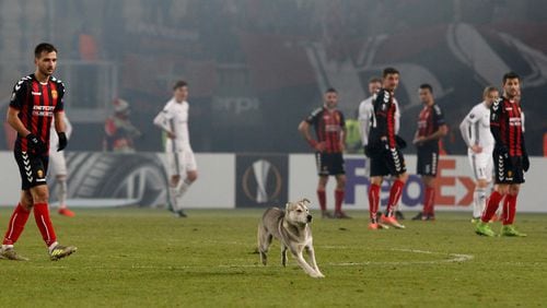 A dog runs onto the pitch during the Europa League group L soccer match between Vardar and Rosenborg, at Philip II Arena in Skopje, Macedonia, Thursday Dec. 7, 2017. (AP Photo/Boris Grdanoski)