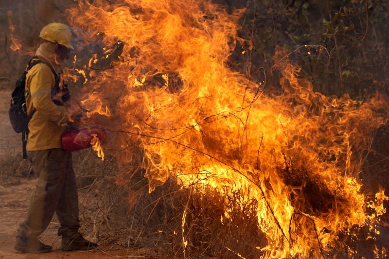 A firefighter works to put out fires in the Brasilia National Forest, Brazil, in the middle of the dry season, Tuesday, Sept. 3, 2024. (AP Photo/Eraldo Peres)