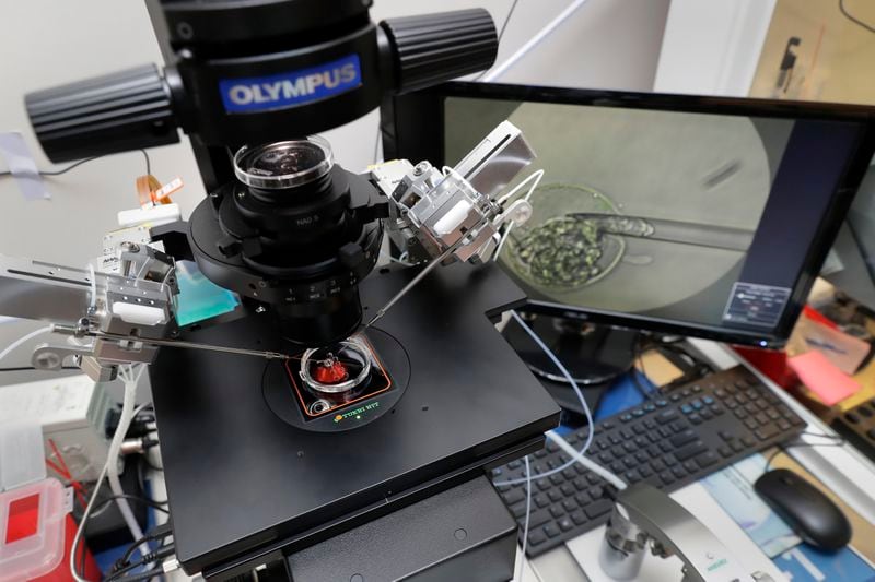 FILE - Lab staff use a microscope stand and articulated hand controls to extract cells from 1-7 day old embryos, shown on the monitor at right, that are then checked for viability at the Aspire Houston Fertility Institute in vitro fertilization lab Feb. 27, 2024, in Houston. According to a new poll from The Associated Press-NORC Center for Public Affairs Research, relatively few Americans fully endorse the idea that a fertilized egg should have the same rights as a pregnant woman. But a significant share – 46% -- say it describes their views at least somewhat well. (AP Photo/Michael Wyke, File)