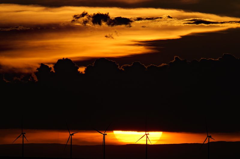 The sun sets as wind turbines operate near Jaguarari, Bahia state, Brazil, Sunday, March 10, 2024. Wind energy is booming in Brazil's Northeast, but some projects are drawing criticism as it becomes clear that certain communities have benefited while others have not. (AP Photo/Andre Penner)