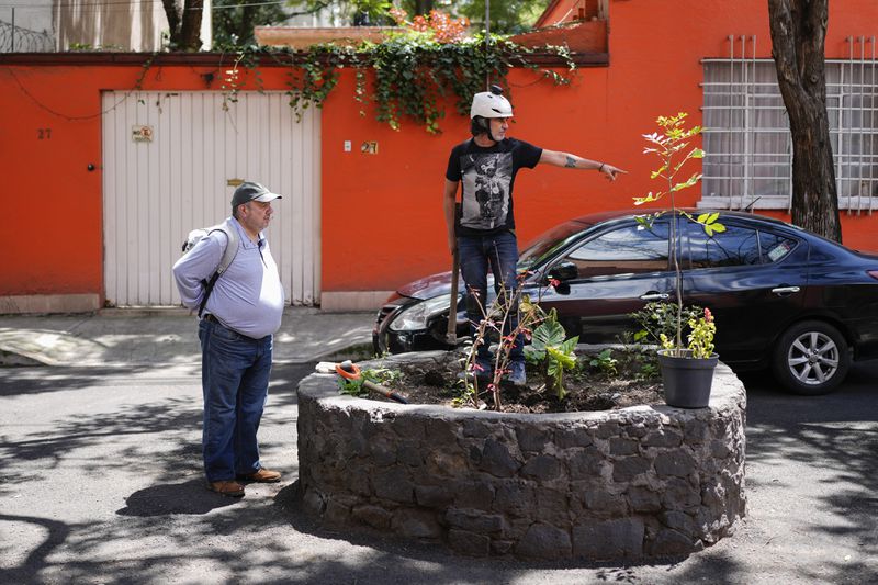 Arturo Hernandez leader of The Tree Army, a group that works to improve the urban forest, points while planting a tree in Mexico City, Monday, Aug. 26, 2024. (AP Photo/Eduardo Verdugo)