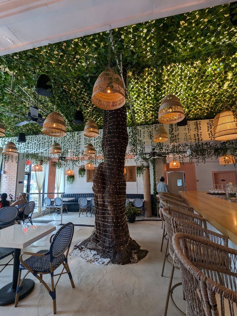 The interior of Azucar Cuban Cuisine in Brookhaven has a live tree contributing to the tropical ambience. (Paula Pontes for The Atlanta Journal-Constitution)