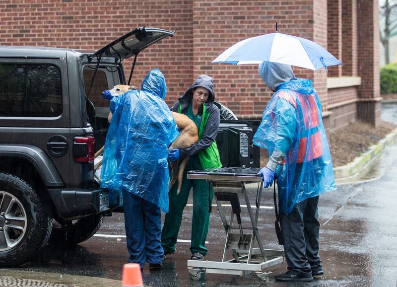 BluePearl Specialty and Emergency Hospital is continuing to operate during the coronavirus pandemic but is preventing owners from entering the hospital. Instead, it is keeping owners in cars. Jake, a greyhound with an emergency leg injury, is moved from his owner’s car to a gurney by hospital technicians Jennifer Eberhart, left, Ann Holbrooks, center, and John Ashley. (Jenni Girtman for The Atlanta Journal-Constitution)