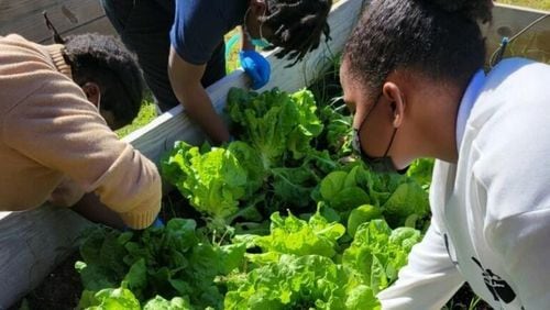 Flint River Fresh has received a $25,000 grant from Archer-Daniels Midland Company through the ADM Cares program to expand its successful holistic Farm to School model focusing on agriculture and conservation education among students in southwest Georgia. (Courtesy of Flint River Fresh)