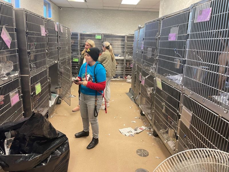 Natalie Pierce and Lauren Holston, rear, ponder which dog to foster Thursday after the DeKalb County Animal Shelter made a plea for the public to come in and foster or adopt because of overcrowding. (Bill Torpy/The Atlanta Journal-Constitution/TNS)