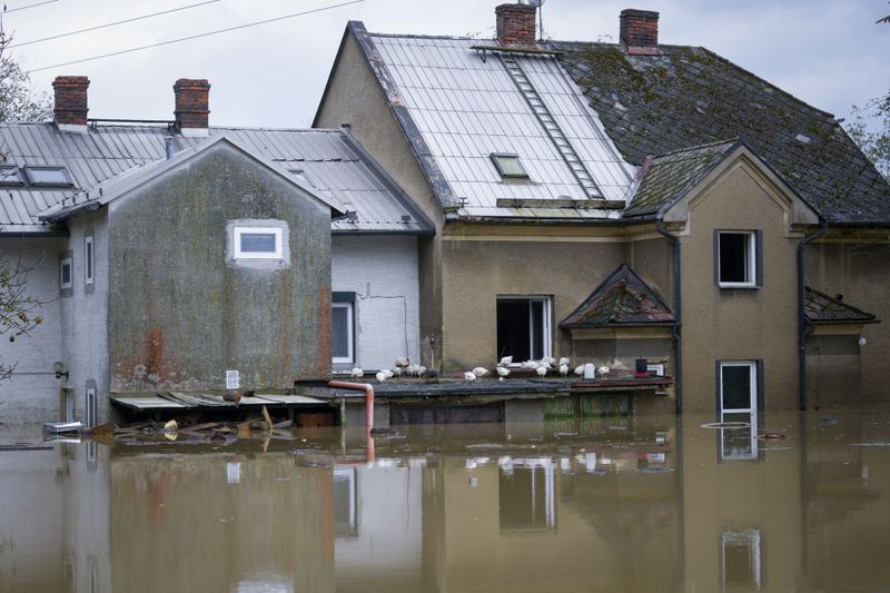 Chicken stand on the rooftop of a garage to shelter themselves from floods in Ostrava, Czech Republic, Monday, Sept. 16, 2024. (AP Photo/Darko Bandic)